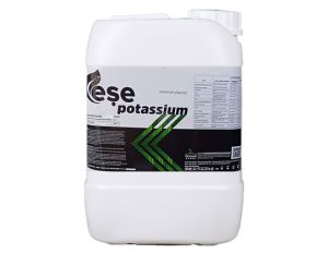 Eşe Potassium